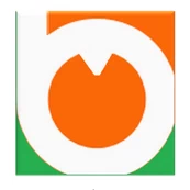 Bharat Digimart Logo